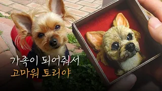 무지개 다리를 건넌 강아지와 통화를 할 수 있다면?