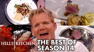 The Best Moments Of Hell's Kitchen Season 14