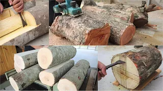 Genius Mind Hunts For Treasures Inside The Ugly Tree Trunks Special Level || Basic Woodworking Tools