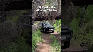 Off roading under a tree in a #4runner #trdpro