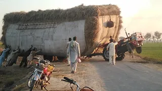 Dangerous Tractors Stunt ! Massey 240 vs Massey 240