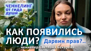 Как появились люди. Ченнелинг от гида души.