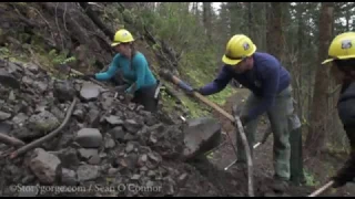 Steps Towards Trail Recovery, Columbia River Gorge