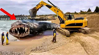 20 CRAZIEST Discoveries Found On The Beach!