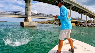 "Basically a GIANT Saltwater PIRANHA"  - Fly Fishing + Spin