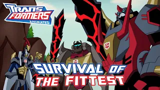 Transformers Animated Review - Survival of the Fittest