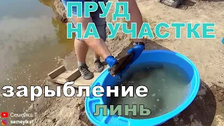 Зарыбляем пруд на даче линём. Свой пруд на участке с рыбой и раками