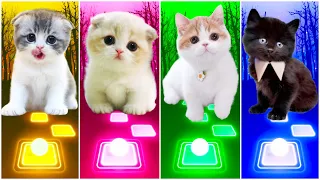 CUTE CATS - BTS VS BLACKPINK LALISA VS CUPID VS IMAGINE DRAGONS