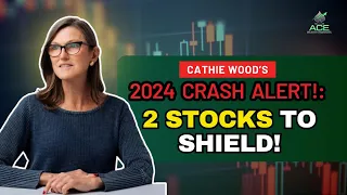 Cathie Wood's Warning: Preparing for the 2024 Crash with 2 High-Potential Stocks
