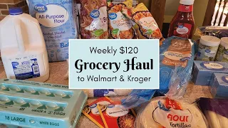 $120 Weekly Grocery Haul for a Frugal Family of 6 | Restocking the Fridge Again