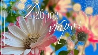 Пусть сегодня будет просто хороший день...Доброе утро💞💞💞