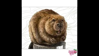 Happy Color App | Beaver | The Charmers’ Club Part 7 | Color By Numbers | MALI