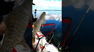 Trolling For Big Pike With Big Lures...