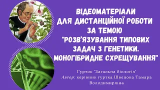 Розв’язування типових задач з генетики. Моногібридне схрещування