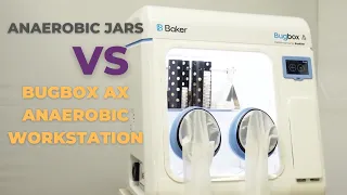 Anaerobic Jars vs BugBox Ax Anaerobic Workstation: Which one is the best option?