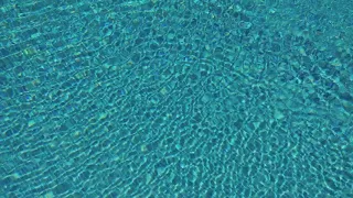Pool Background Video