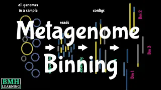 Metagenome Binning | Metagenomics |