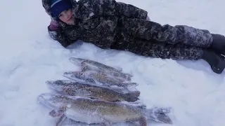 ЖЕРЛИЦЫ. Не успели выставить и сразу трофей. Зимняя рыбалка 2022.