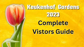 Keukenhof Gardens 2024: How to Make the Most of Your Visit