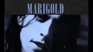 NIRVANA - Marigold (Legendado)