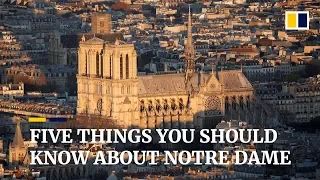 What you should know about Notre Dame Cathedral