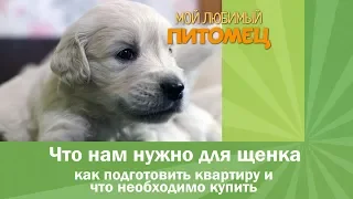 Что нам нужно для щенка