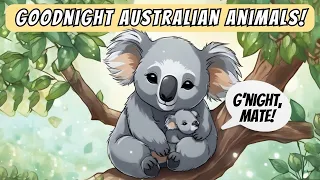 Cuddly Koalas & Wombats Bedtime Story, G'Night Aussie Animals