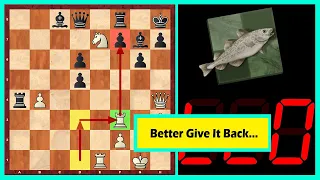 Stockfish vs Leela Chess Zero! A Brilliant Combination By The Brute Force