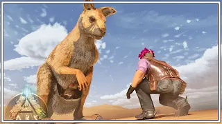 Breeding The Ultimate Kangaroos To Get Wyvern Eggs | ARK Scorched Earth [EPISODE 13]