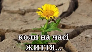 ЧИ ДОРЕЧНО РАДІТИ ЖИТТЮ, КОЛИ В ТВОЇЙ КРАЇНІ ТРИВАЄ ПОВНОМАСШТАБНА ВІЙНА?