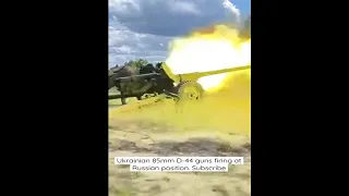 Ukrainian 85mm D-44 guns firing at Russian position. Russia Ukraine war