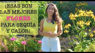 PLANTAS & FLORES para jardines de SECANO