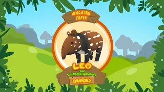 Malayan Tapir - Leo The Wildlife Ranger Animal Diaries | Animal Facts for Kids