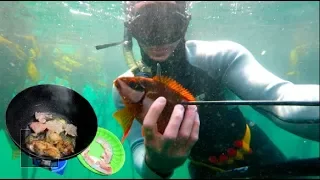 Spearfishing CATCH AND COOK butterfish in SOUTH AFRICA (Amazing whale and baby sharks) - EP2