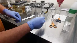 How To Make a Spore Swab Into a Multi-Spore Syringe (Pholiota adiposa)
