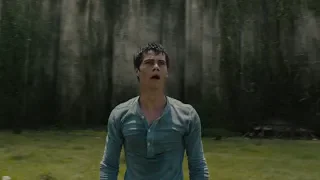 Thomas Enters The Maze [Maze Runner]