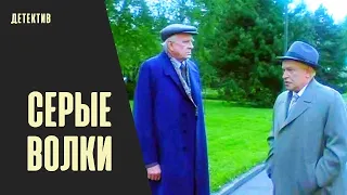 Серые Волки (1993) Политический детектив