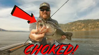 Winter Swimbait Fishing Is Easy! (I'll Prove It)