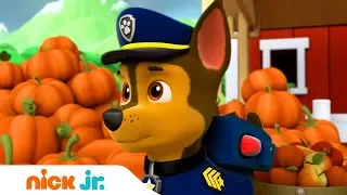 Щенячий патруль | Собрать весь урожай | Nick Jr. Россия