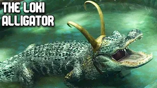 Loki - But it's only the Alligator (Mild Loki Spoilers)