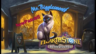 Mr. Bigglesworth win in Hearthstone Battlegrounds after the new big patch 19.0!!!