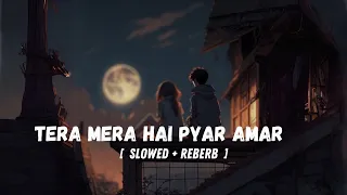 Tera mera hai pyar amar  - Ishq Murshid ost [Slowed+Reverb] | Full Song - Bilal Abbas  - Durefishan