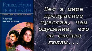 Королёк - птичка певчая / Решад Нури Гюнтекин  / Что почитать? / Обзор книг / Цитаты