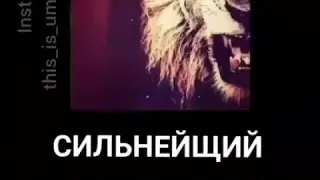 Сильнейший нашид