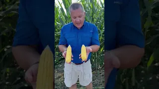 AgXplore's Gunther Kreps & Importance of Mitigating Stress | Rend Lake College Trials w/ Syngenta