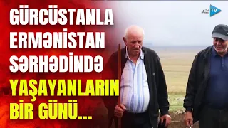 Gürcüstanla Ermənistanın sərhədində bir gün: Borçalı yaylağından REPORTAJ