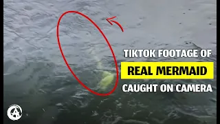 TikTok Fisherman Catches a Mermaid or Siren Live on Camera (With Footage)