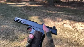 Steyr Hahn POV firing