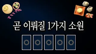 [타로카드] 당신의 소원 1가지가 이뤄질 것 같네요🔮 어떤 소원일까요? 궁금하면 클릭.