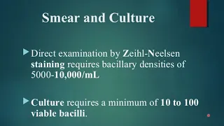 LAB DIAGNOSIS OF TUBERCULOSIS